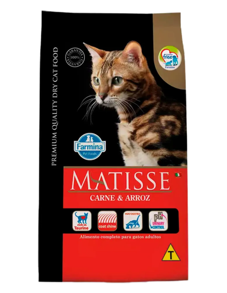 Matisse Carne Y Arroz 2 KG