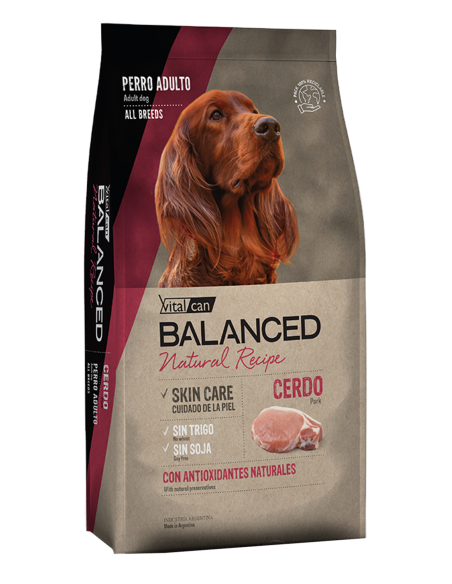 Balanced Natural Recipe Cerdo 3 KG