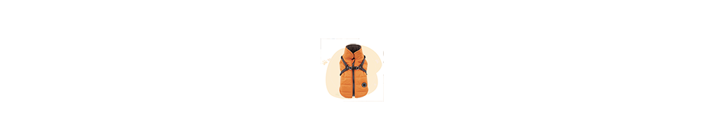 Ropa Canino