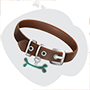 Collares Canino