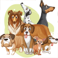 Razas Canino