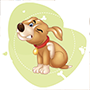 Pulgas y Garrapatas Canino